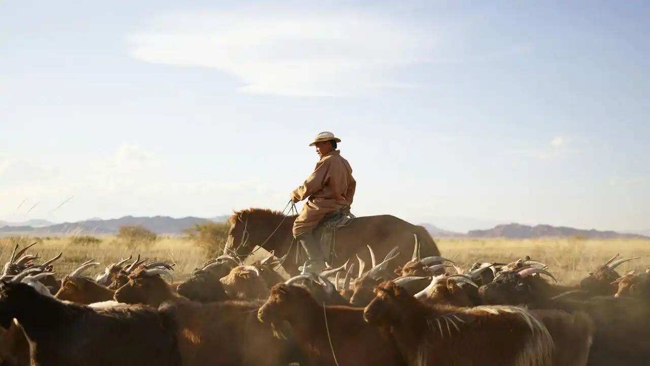 Is Mongolian Hard To Learn? A Beginner's Guide To The Language