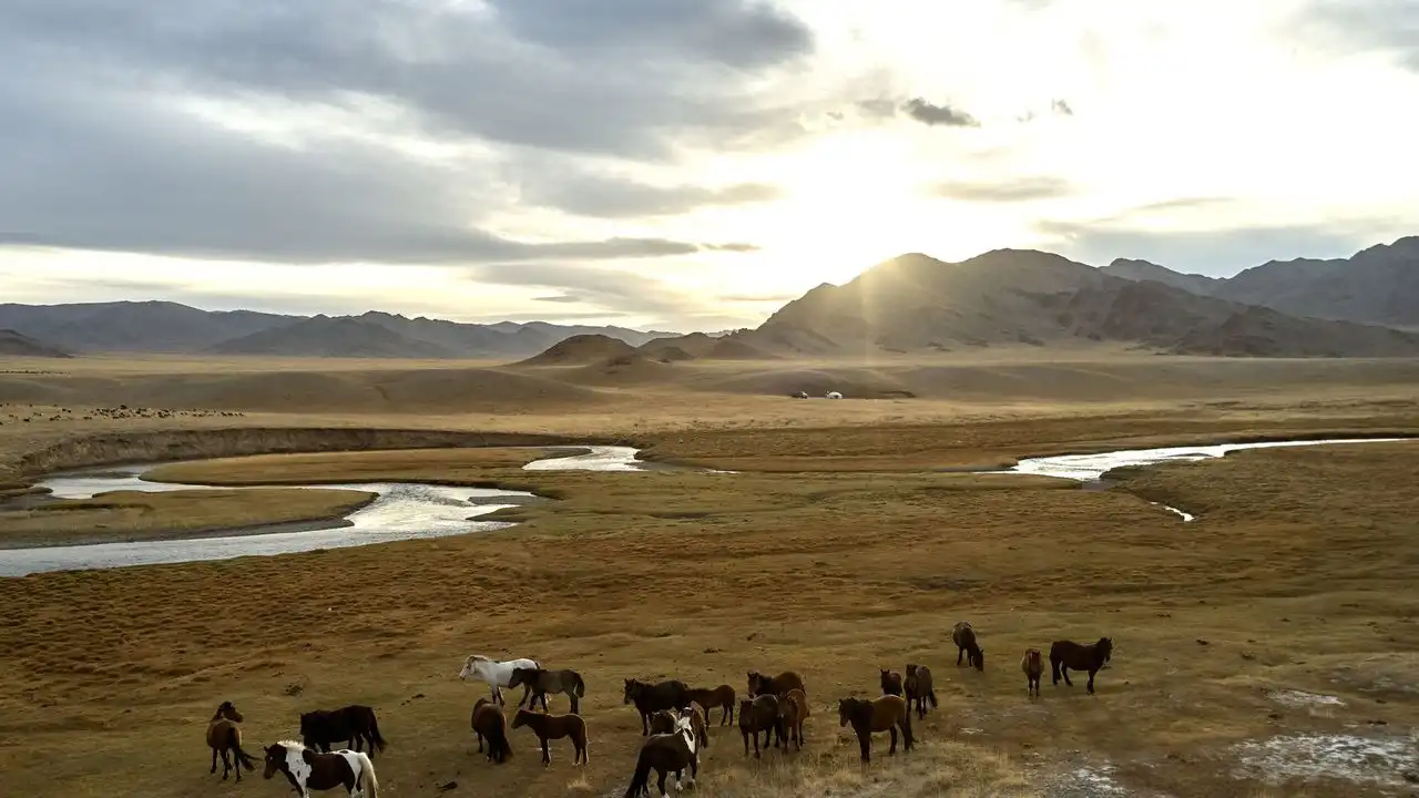 Learning Mongolian Takes Less Time Than You Think. Here Is A Realistic Timeline.
