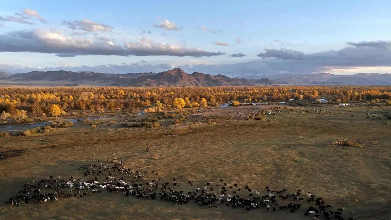 Building An Effective Mongolian Flashcard Deck Using Anki