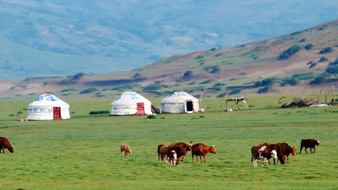 Essential Mongolian Vocabulary For The Naadam Festival