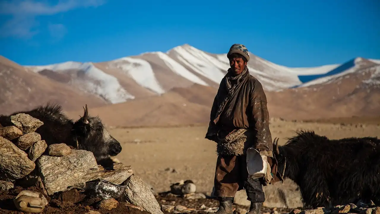 Essential Vocabulary For Mongolian Nomadic Culture